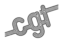 Company name